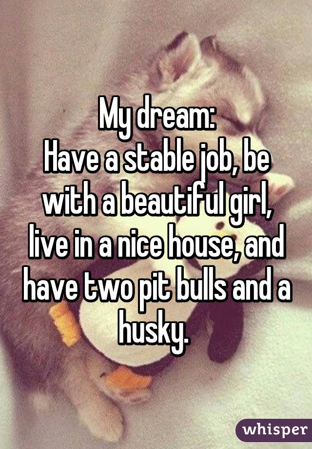 My dream:
Have a stable job, be with a beautiful girl, live in a nice house, and have two pit bulls and a husky. 