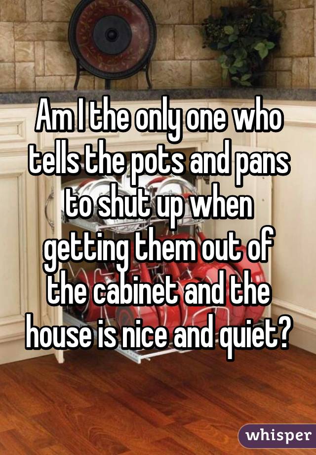 Am I the only one who tells the pots and pans to shut up when getting them out of the cabinet and the house is nice and quiet?