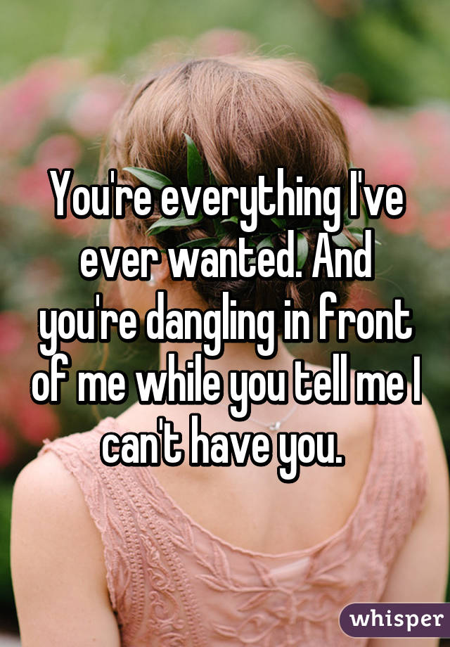 You're everything I've ever wanted. And you're dangling in front of me while you tell me I can't have you. 