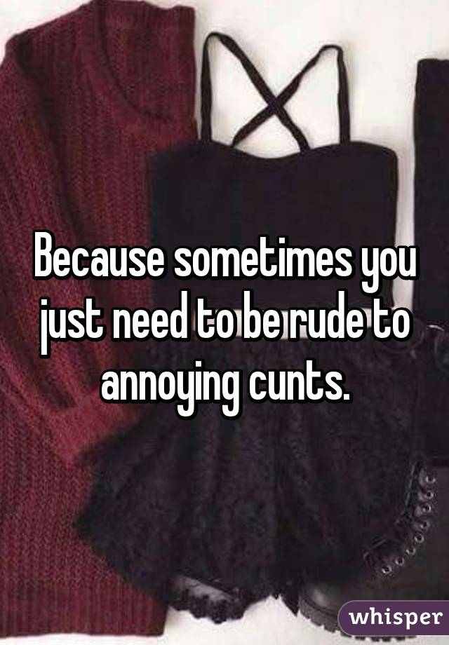 Because sometimes you just need to be rude to annoying cunts.