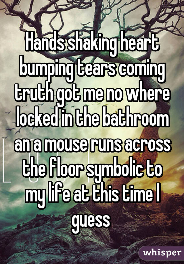 Hands shaking heart bumping tears coming truth got me no where locked in the bathroom an a mouse runs across the floor symbolic to my life at this time I guess 