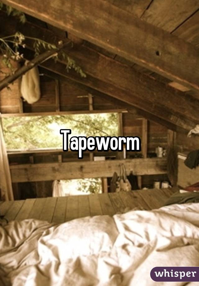 Tapeworm