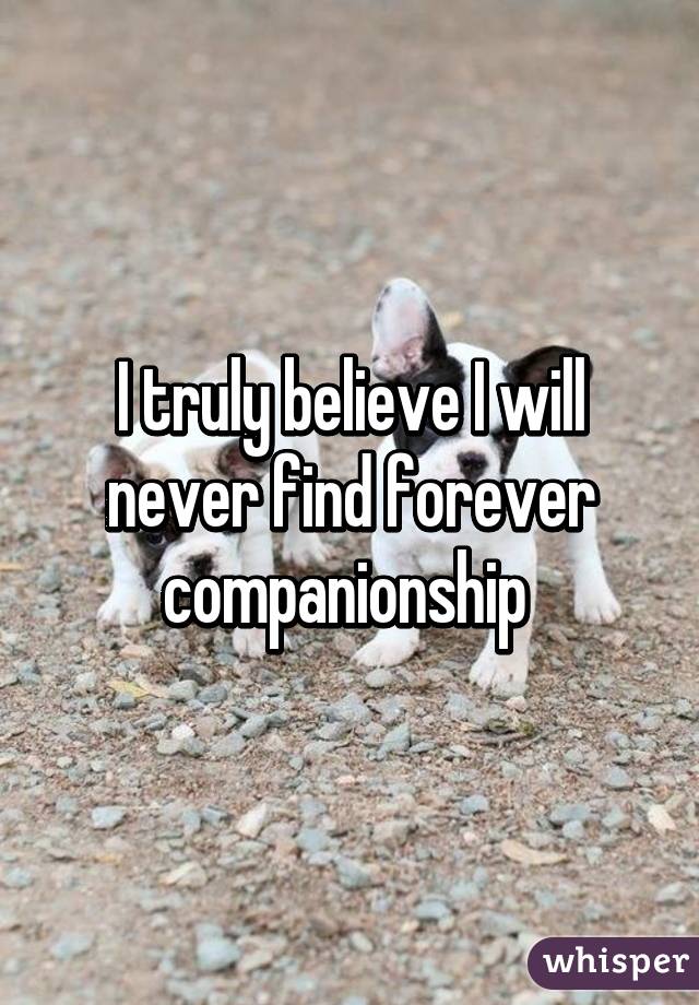 I truly believe I will never find forever companionship 