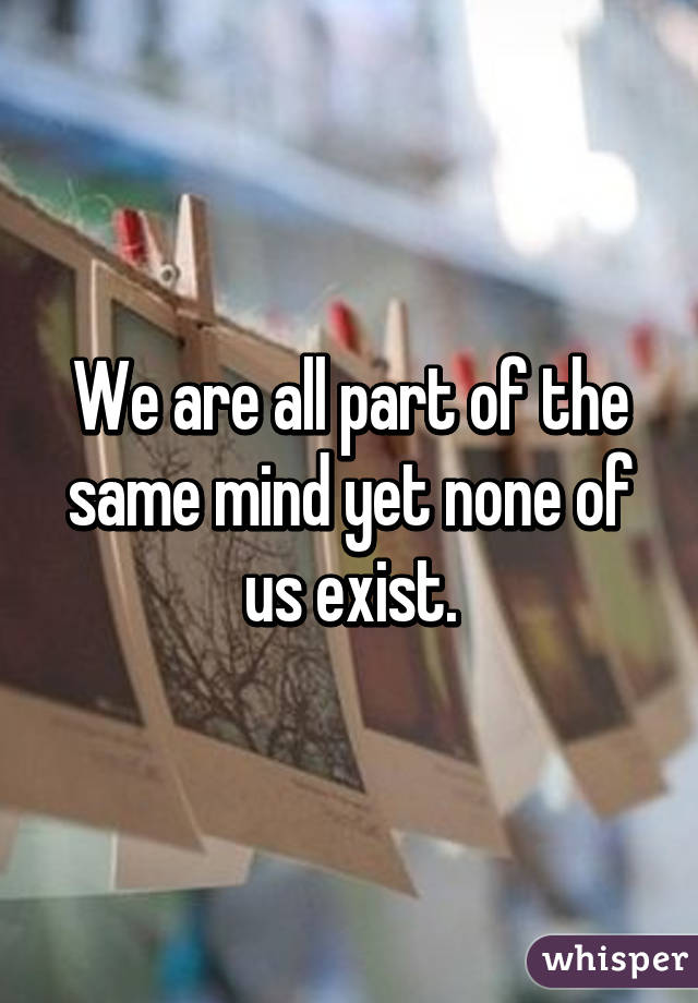 We are all part of the same mind yet none of us exist.