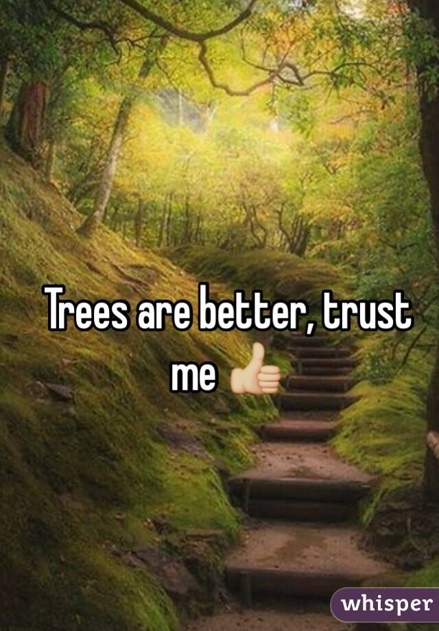 Trees are better, trust me 👍🏼