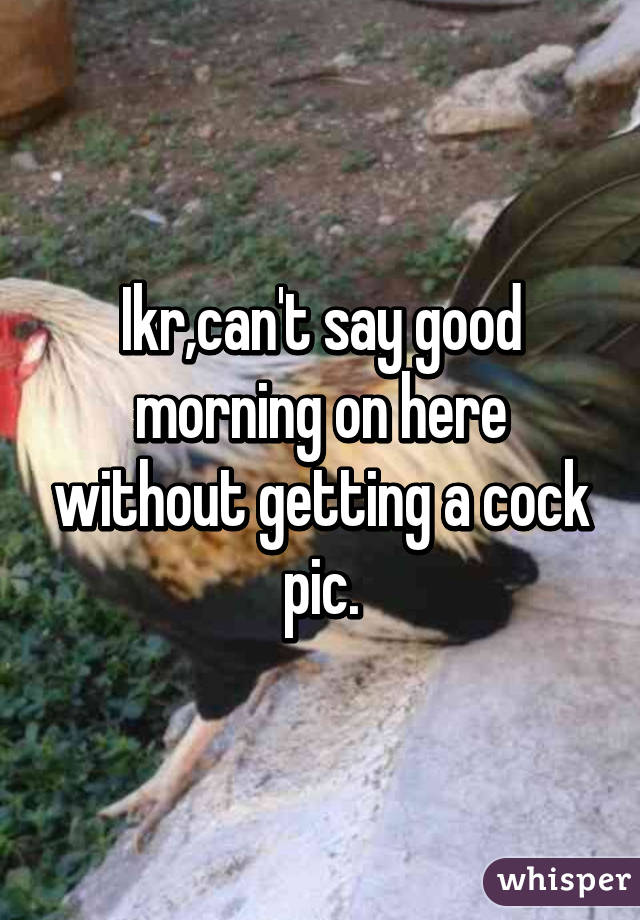 Ikr,can't say good morning on here without getting a cock pic.