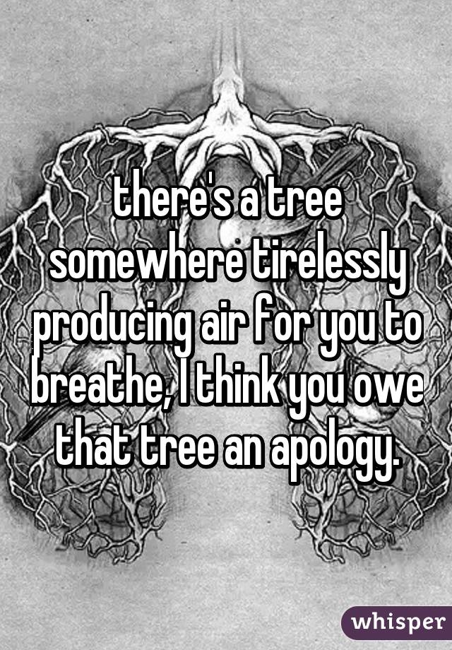 there's a tree somewhere tirelessly producing air for you to breathe, I think you owe that tree an apology.