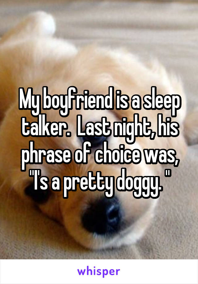 My boyfriend is a sleep talker.  Last night, his phrase of choice was, "I's a pretty doggy. "