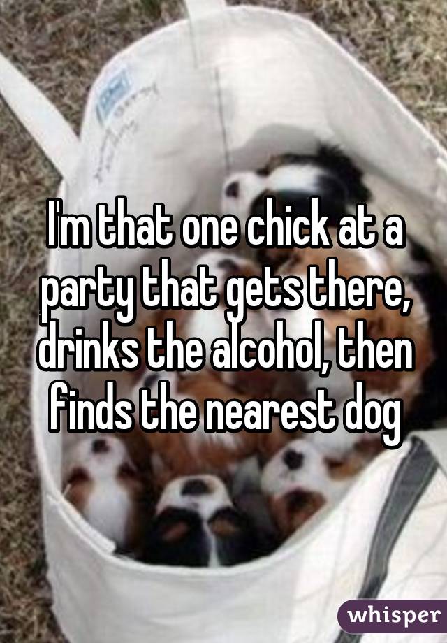 I'm that one chick at a party that gets there, drinks the alcohol, then finds the nearest dog