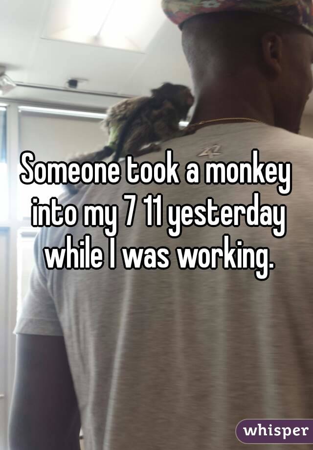 Someone took a monkey into my 7 11 yesterday while I was working.