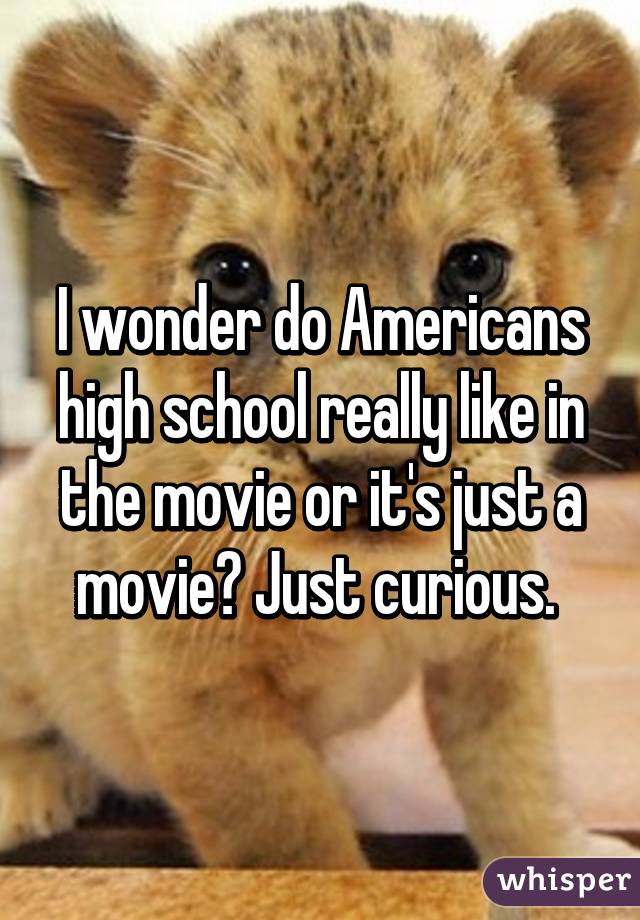 I wonder do Americans high school really like in the movie or it's just a movie? Just curious. 