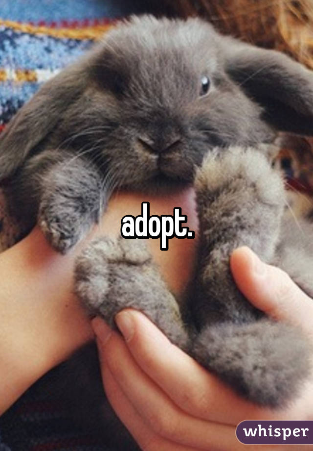 adopt.