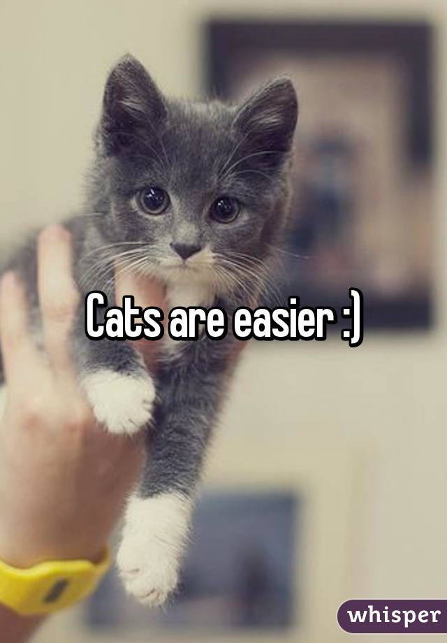 Cats are easier :)