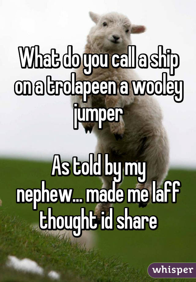 What do you call a ship on a trolapeen a wooley jumper

As told by my nephew... made me laff thought id share