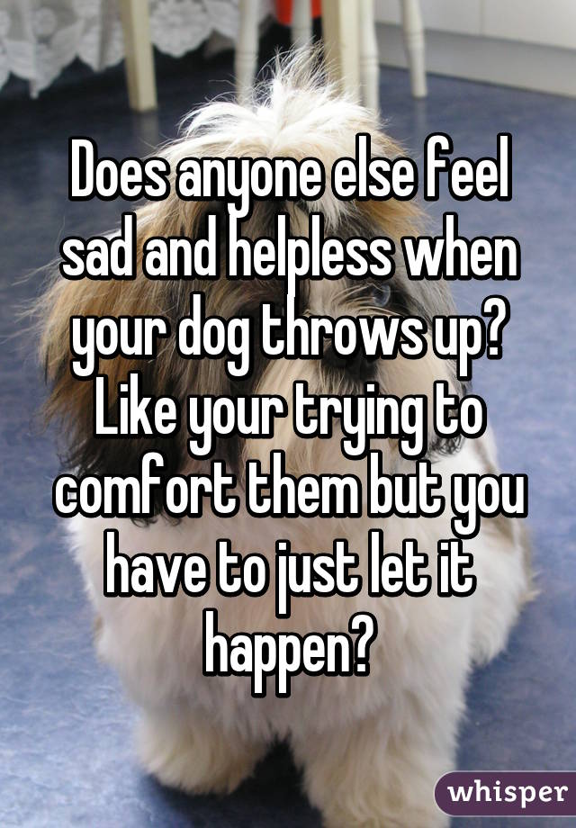 Does anyone else feel sad and helpless when your dog throws up? Like your trying to comfort them but you have to just let it happen?