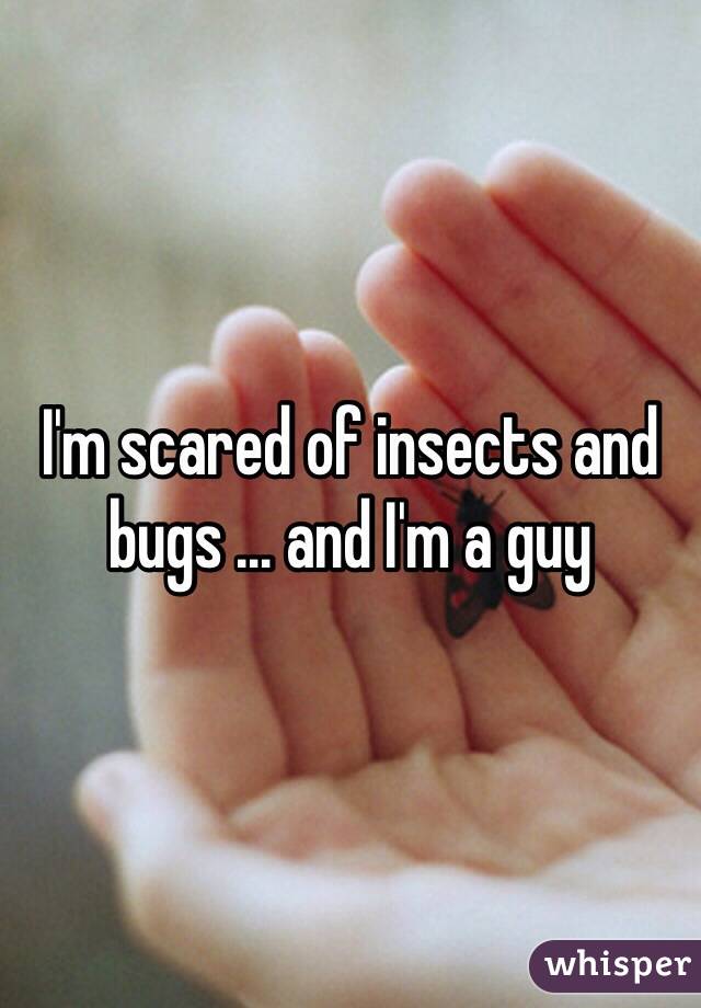 I'm scared of insects and bugs … and I'm a guy