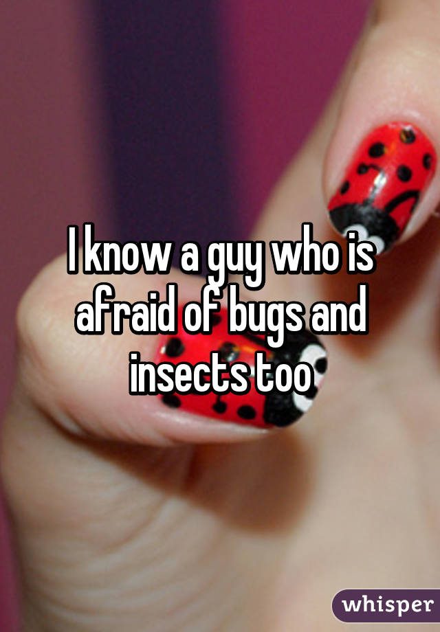 I know a guy who is afraid of bugs and insects too