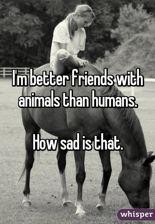 I'm better friends with animals than humans.

How sad is that.