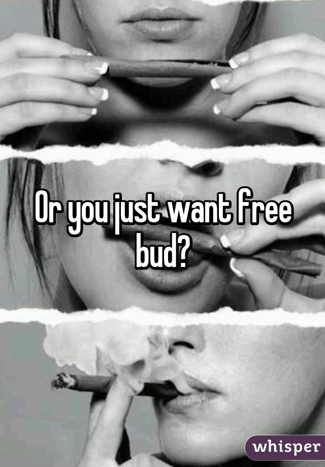 Or you just want free bud?