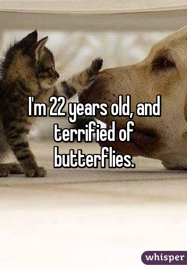 I'm 22 years old, and terrified of butterflies.