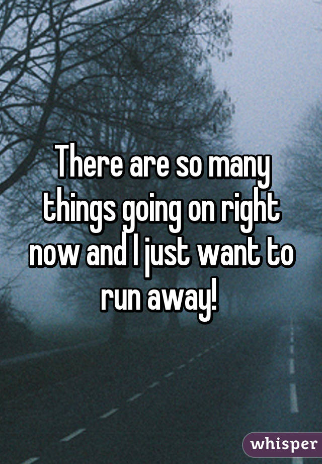 There are so many things going on right now and I just want to run away! 