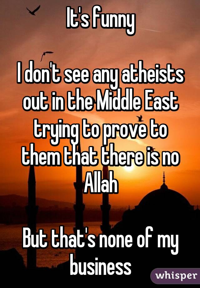 It's funny

I don't see any atheists out in the Middle East trying to prove to them that there is no Allah

But that's none of my business