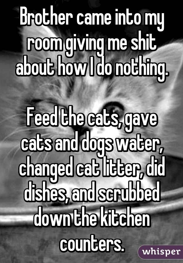 Brother came into my room giving me shit about how I do nothing.

Feed the cats, gave cats and dogs water, changed cat litter, did dishes, and scrubbed down the kitchen counters.