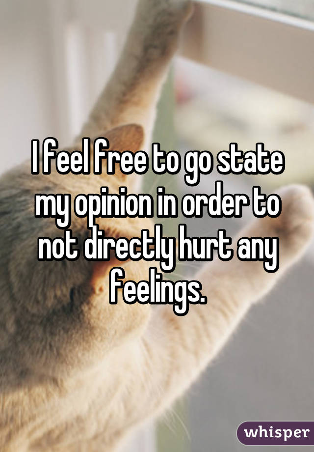 I feel free to go state my opinion in order to not directly hurt any feelings.