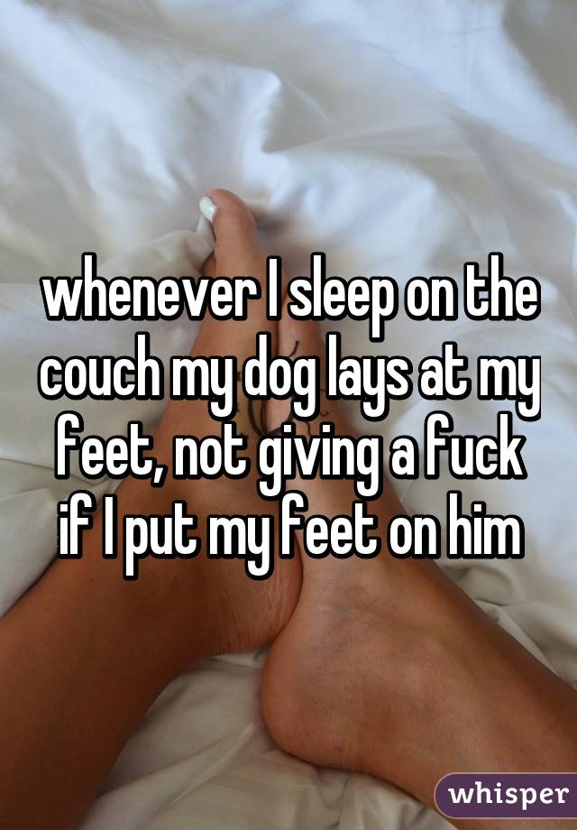 whenever I sleep on the couch my dog lays at my feet, not giving a fuck if I put my feet on him