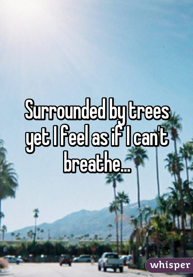 Surrounded by trees yet I feel as if I can't breathe...