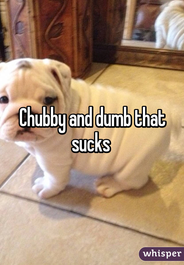 Chubby and dumb that sucks 