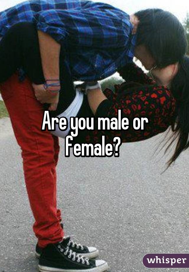 Are you male or female? 