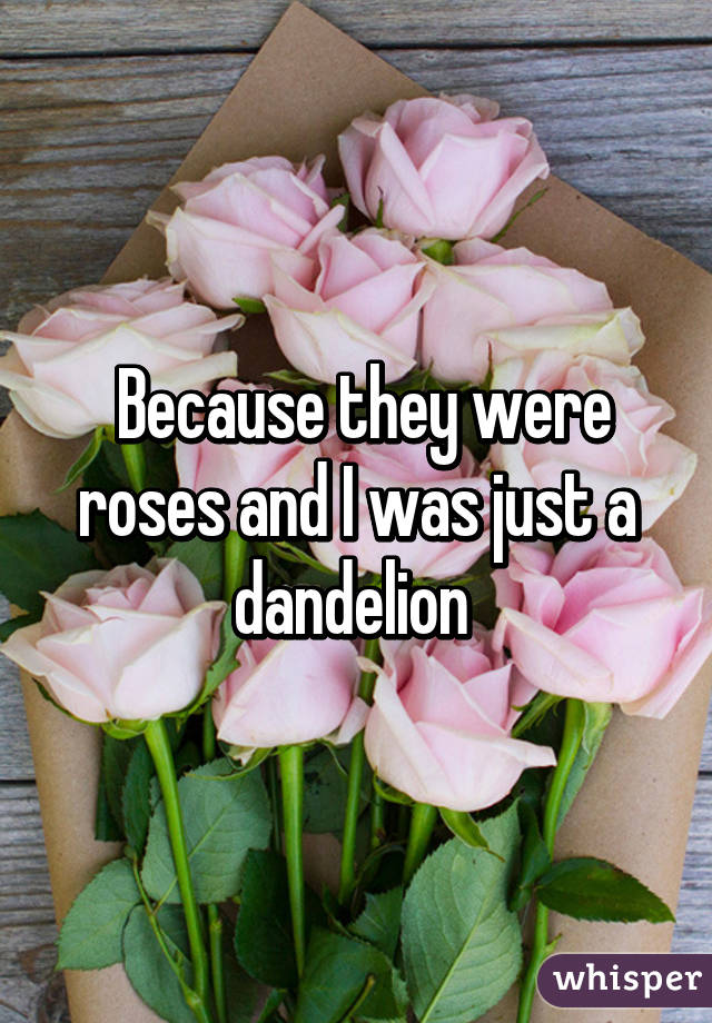  Because they were roses and I was just a dandelion 