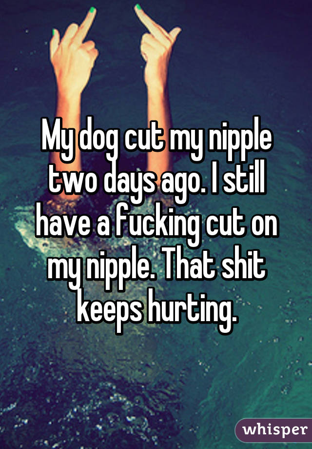 My dog cut my nipple two days ago. I still have a fucking cut on my nipple. That shit keeps hurting.