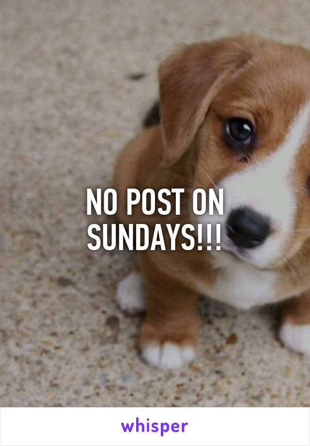 NO POST ON SUNDAYS!!!