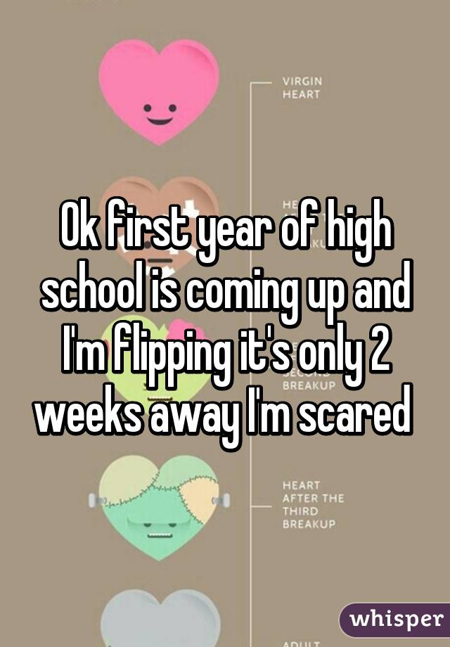 Ok first year of high school is coming up and I'm flipping it's only 2 weeks away I'm scared 