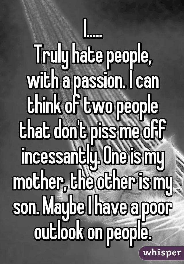 I.....
Truly hate people, with a passion. I can think of two people that don't piss me off incessantly. One is my mother, the other is my son. Maybe I have a poor outlook on people.