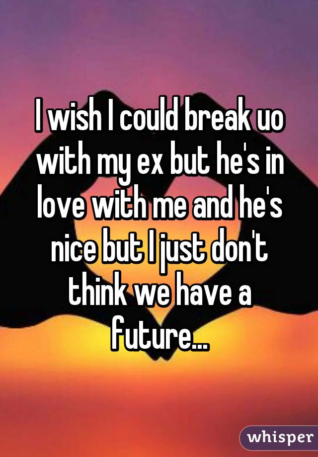 I wish I could break uo with my ex but he's in love with me and he's nice but I just don't think we have a future...