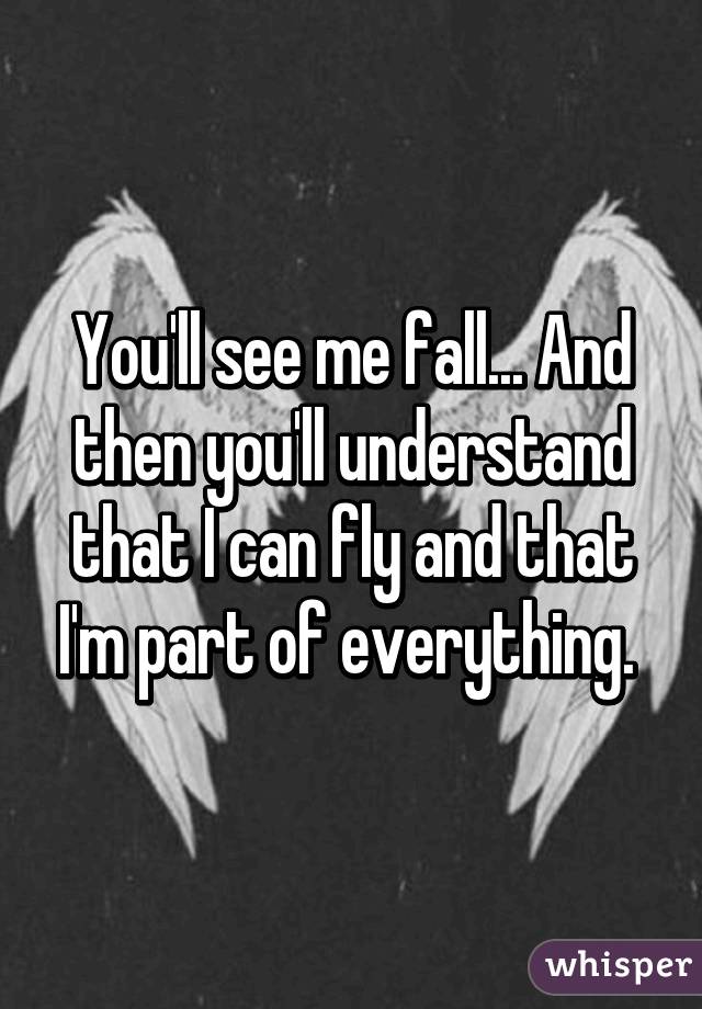 You'll see me fall... And then you'll understand that I can fly and that I'm part of everything. 