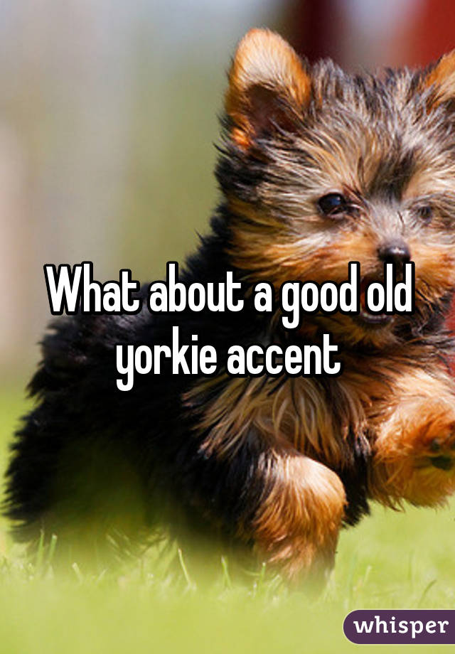 What about a good old yorkie accent