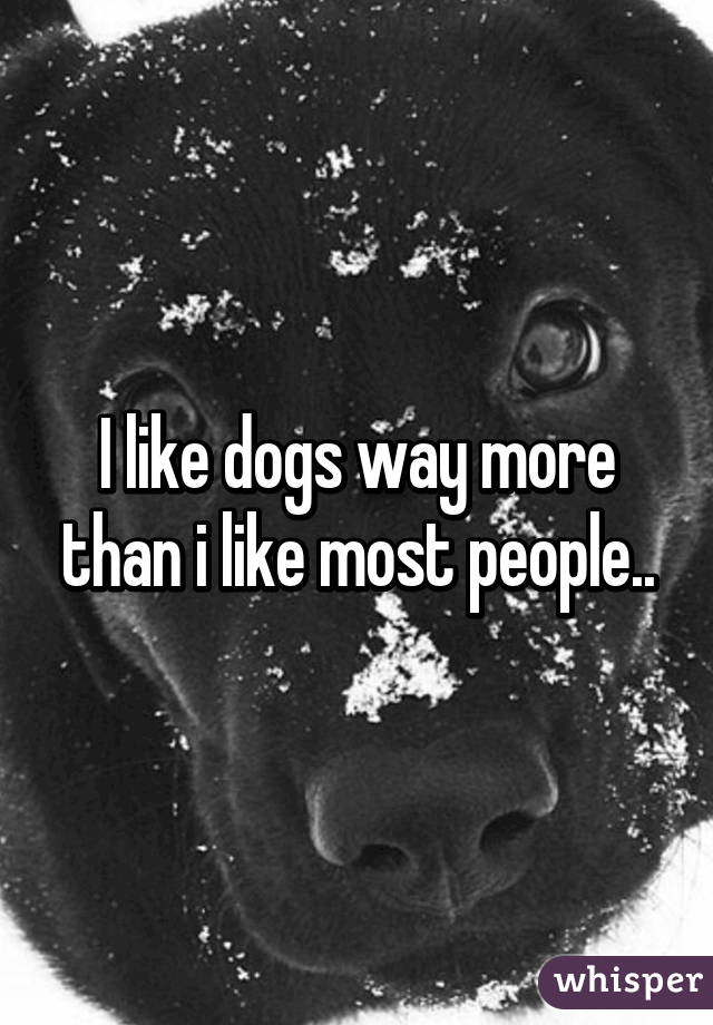 I like dogs way more than i like most people..