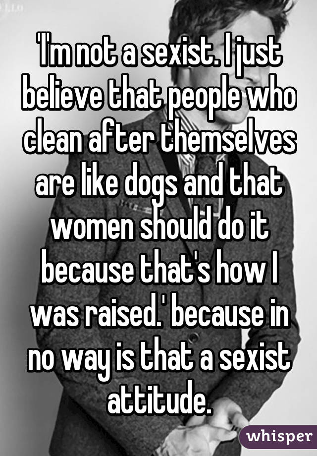 'I'm not a sexist. I just believe that people who clean after themselves are like dogs and that women should do it because that's how I was raised.' because in no way is that a sexist attitude.