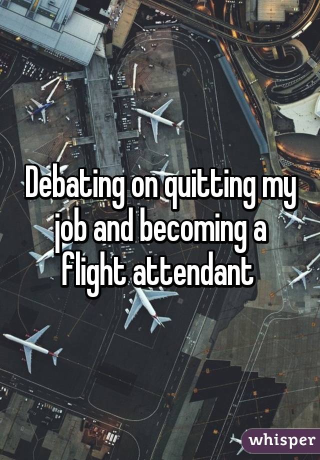 Debating on quitting my job and becoming a flight attendant 