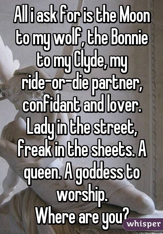 All i ask for is the Moon to my wolf, the Bonnie to my Clyde, my ride-or-die partner, confidant and lover. Lady in the street, freak in the sheets. A queen. A goddess to worship.
Where are you?