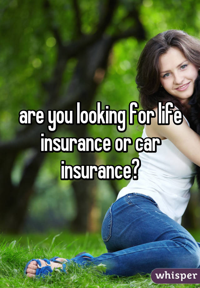 are you looking for life insurance or car insurance?