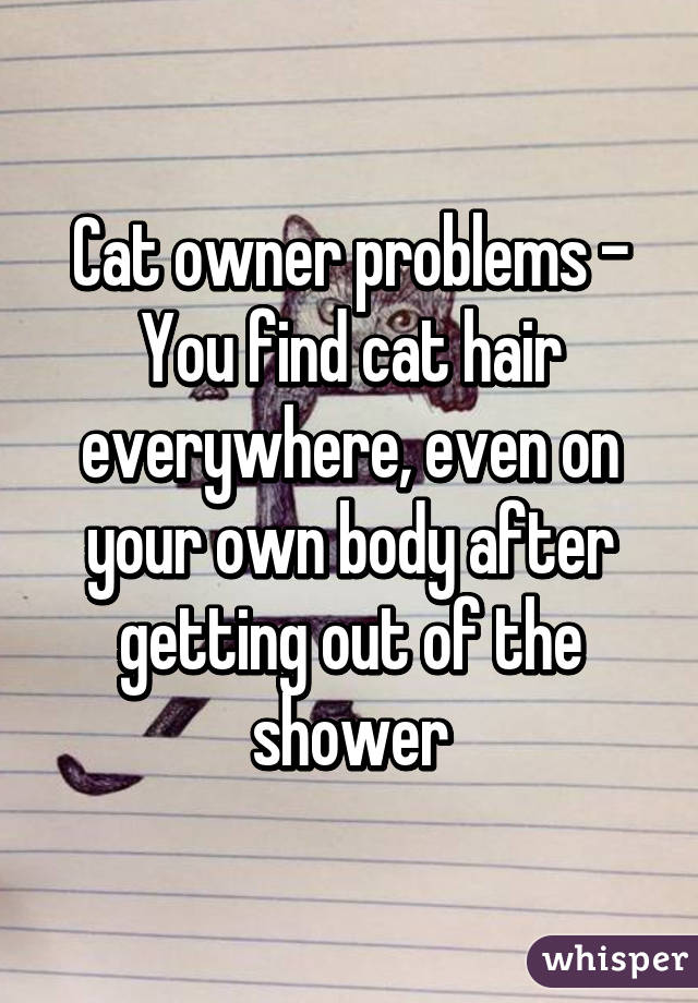 Cat owner problems - You find cat hair everywhere, even on your own body after getting out of the shower