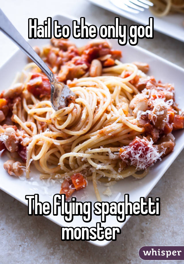 Hail to the only god 






The flying spaghetti monster 