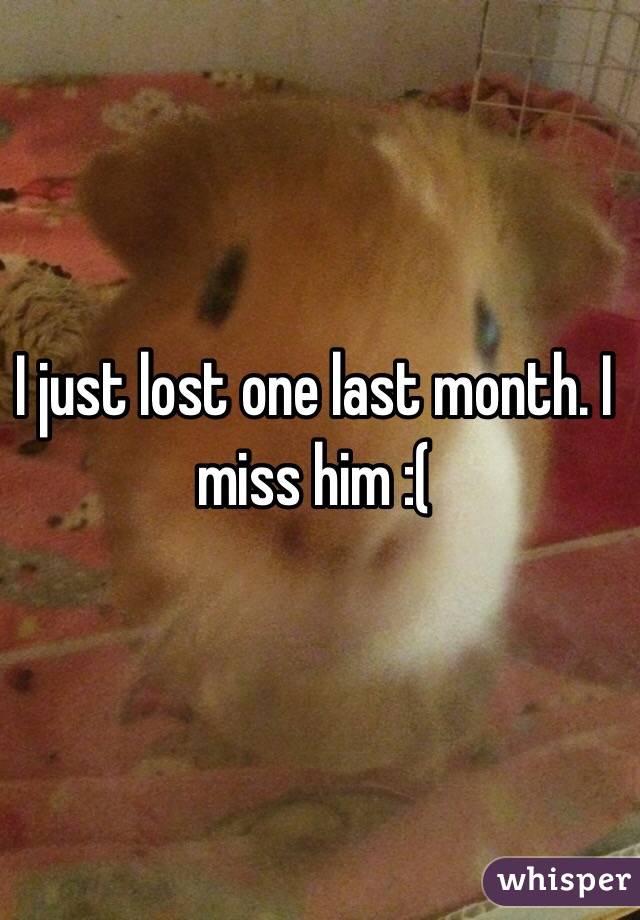 I just lost one last month. I miss him :(