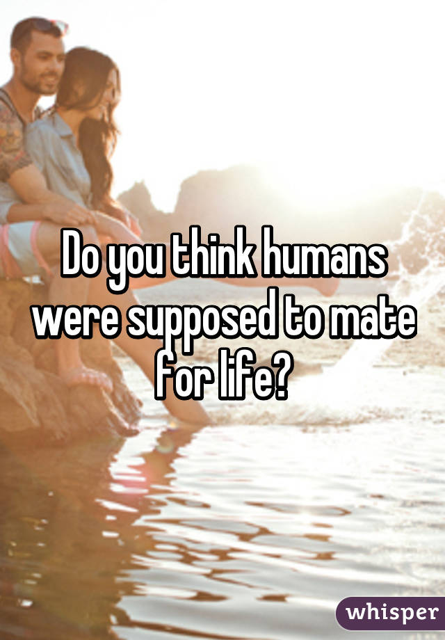 Do you think humans were supposed to mate for life?