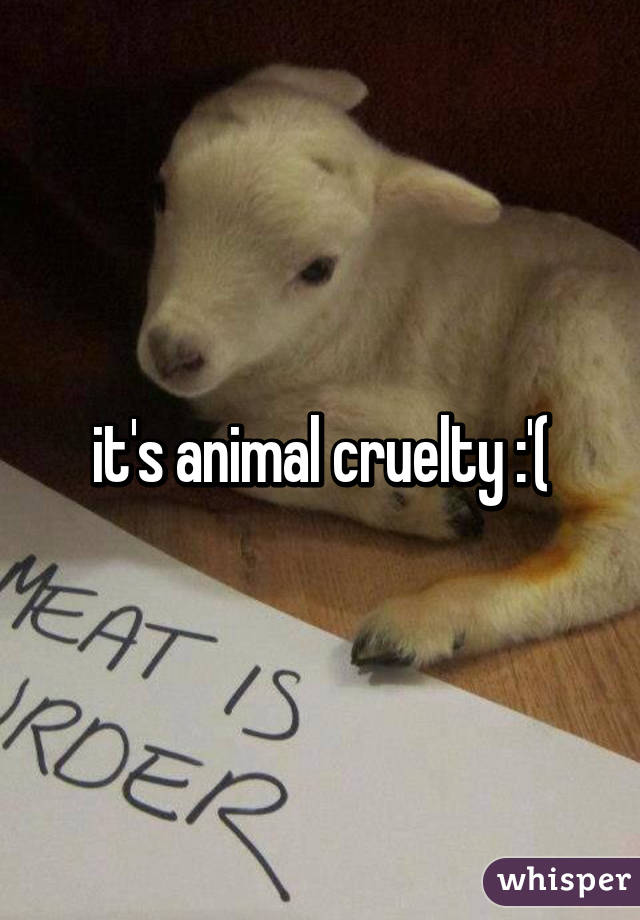 it's animal cruelty :'(